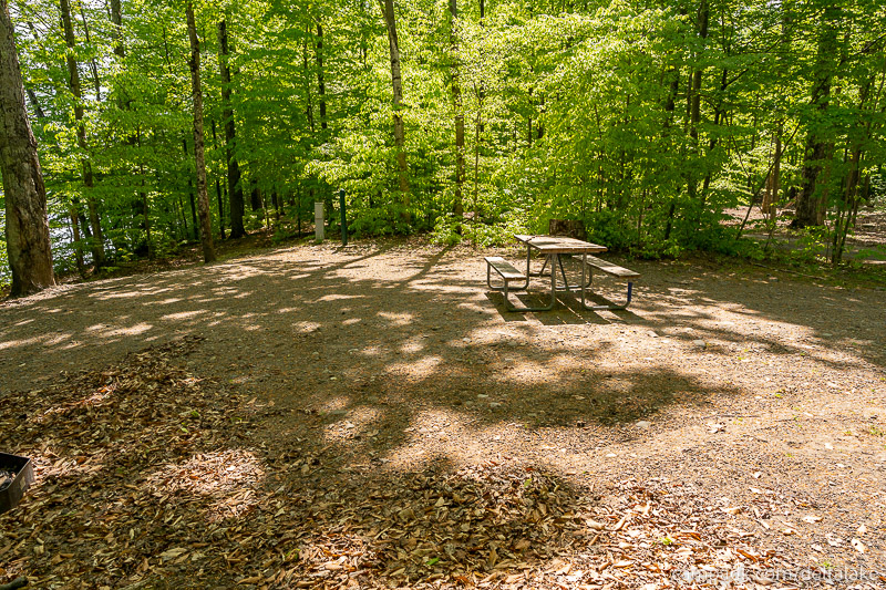 Campsite Photo of Site 92 at Delta Lake State Park, New York - Cross Site View