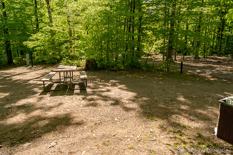 Campsite Photo of Site 92 at Delta Lake State Park, New York - Cross Site View