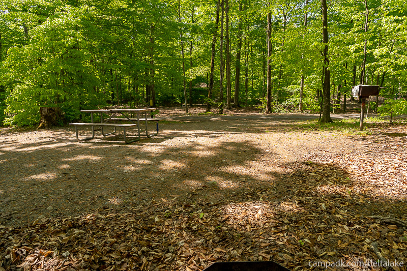 Campsite Photo of Site 92 at Delta Lake State Park, New York - Looking Back Towards Road