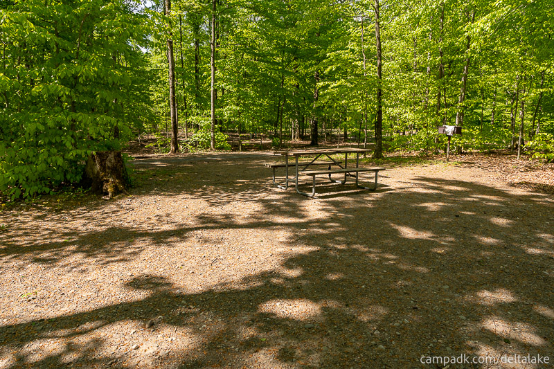 Campsite Photo of Site 92 at Delta Lake State Park, New York - Looking Back Towards Road