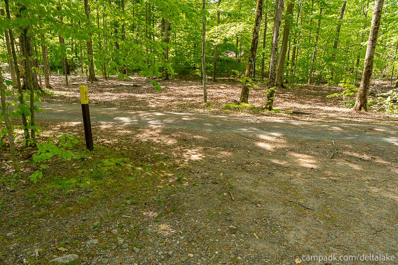 Campsite Photo of Site 92 at Delta Lake State Park, New York - Looking Back Towards Road