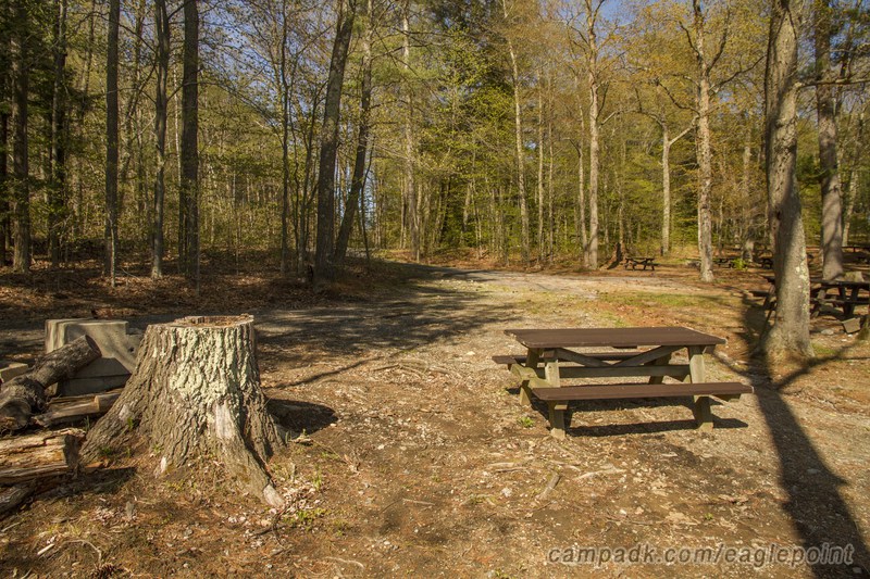 Campsite Photo of Site 7 at Eagle Point Campground, New York - Looking Back Towards Road