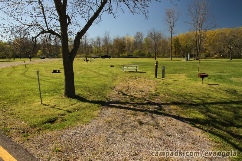 Campsite Photo of Site 6 at Evangola State Park, New York - Looking at Site from Road