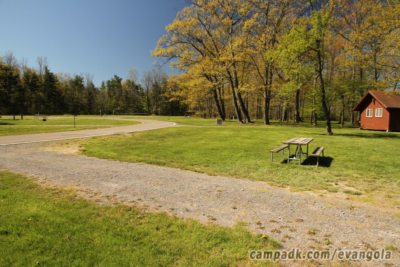 Campsite Photo of Site 37 at Evangola State Park, New York - Cross Site View