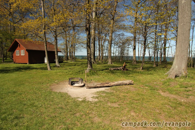Campsite Photo of Site 37 at Evangola State Park, New York - Cross Site View