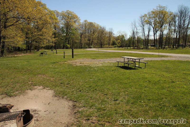Campsite Photo of Site 37 at Evangola State Park, New York - Cross Site View