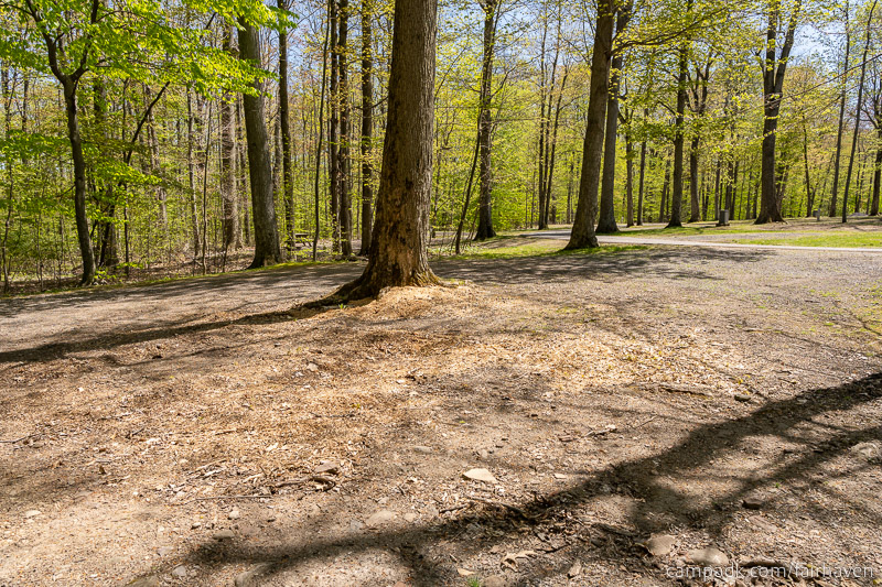 Campsite Photo of Site 75 at Fair Haven Beach State Park, New York - Cross Site View