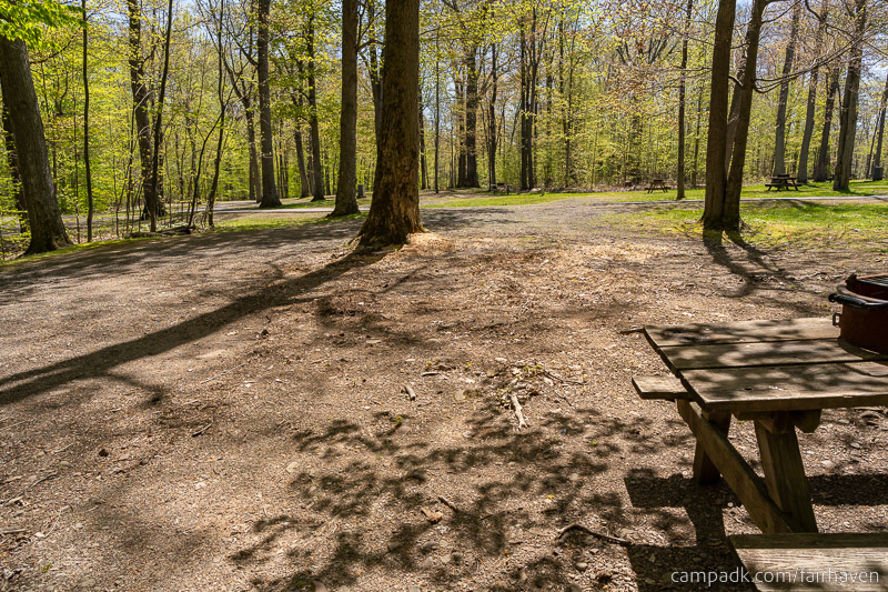 Campsite Photo of Site 75 at Fair Haven Beach State Park, New York - Looking Back Towards Road