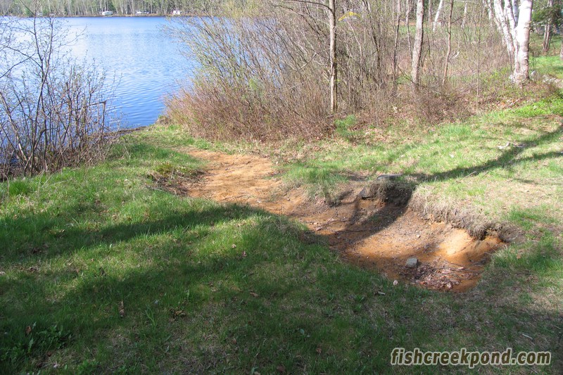 Campsite Photo of Site 46 at Fish Creek Pond Campground, New York - Shoreline