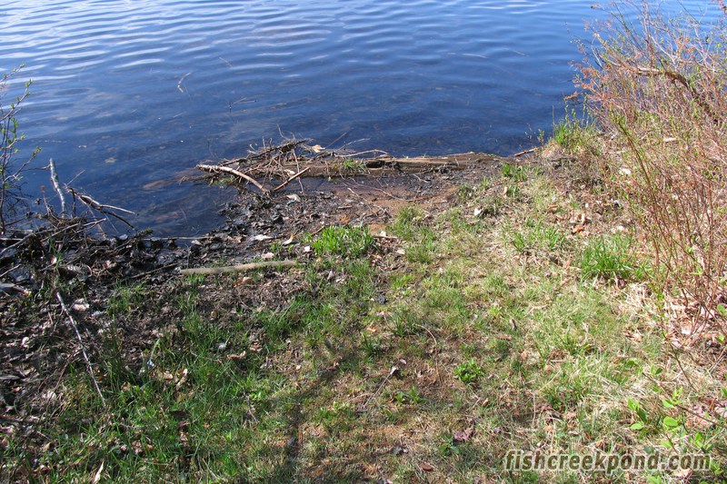 Campsite Photo of Site 46 at Fish Creek Pond Campground, New York - Shoreline