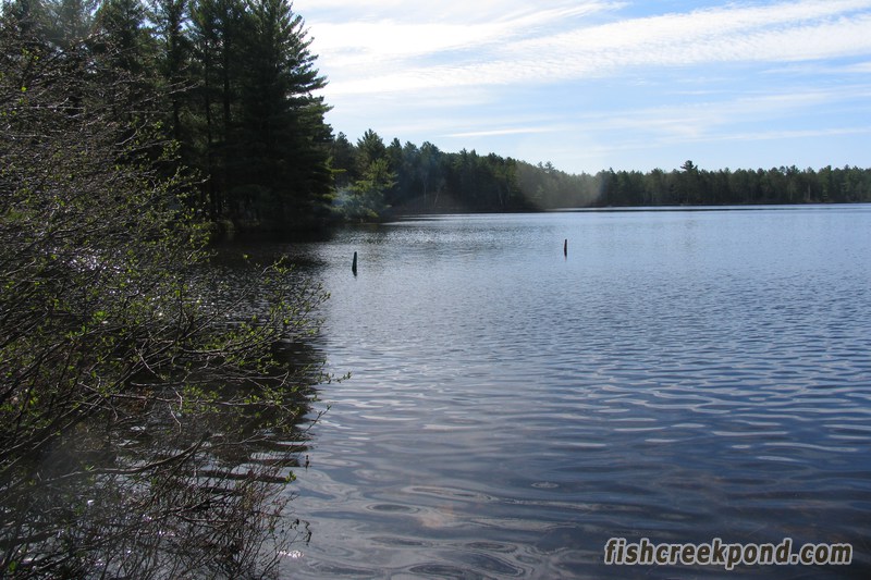 Campsite Photo of Site 46 at Fish Creek Pond Campground, New York - View from Shoreline