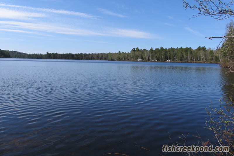 Campsite Photo of Site 46 at Fish Creek Pond Campground, New York - View from Shoreline