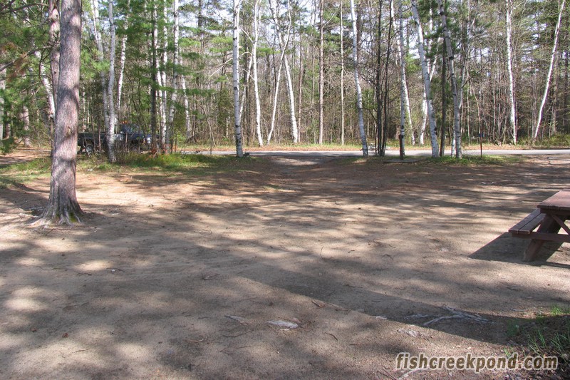 Campsite Photo of Site 46 at Fish Creek Pond Campground, New York - Looking Back Towards Road