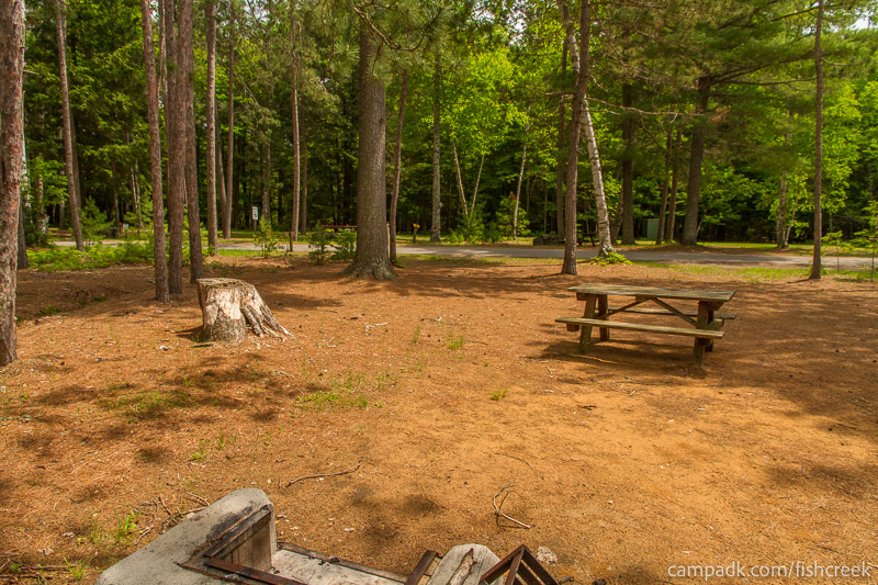 Campsite Photo of Site 1 at Fish Creek Pond Campground, New York - Looking Back Towards Road