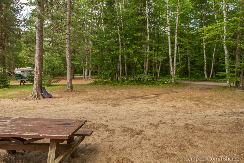 Campsite Photo of Site 46 at Fish Creek Pond Campground, New York - Cross Site View