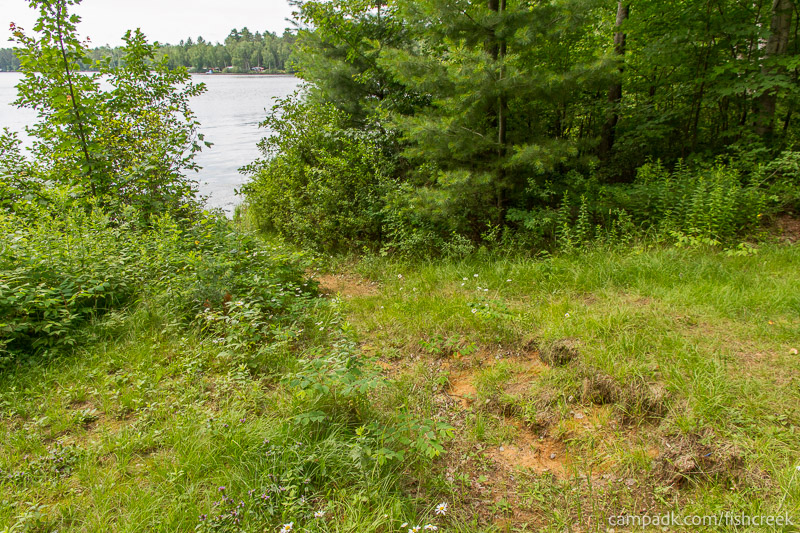 Campsite Photo of Site 46 at Fish Creek Pond Campground, New York - Pathway Down to Water