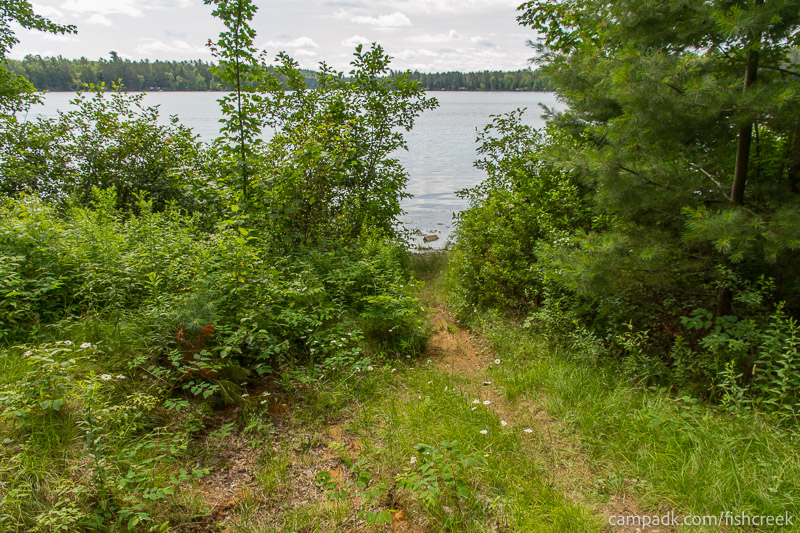 Campsite Photo of Site 46 at Fish Creek Pond Campground, New York - Pathway Down to Water