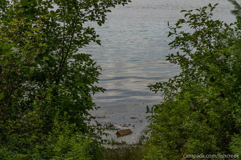 Campsite Photo of Site 46 at Fish Creek Pond Campground, New York - Shoreline
