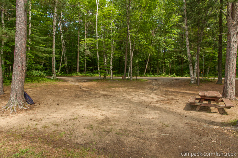 Campsite Photo of Site 46 at Fish Creek Pond Campground, New York - Looking Back Towards Road