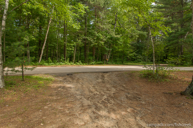 Campsite Photo of Site 46 at Fish Creek Pond Campground, New York - Looking Back Towards Road