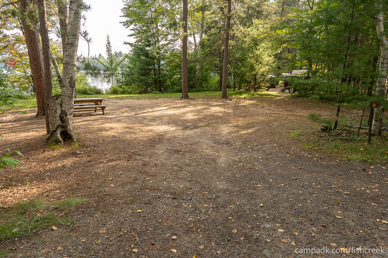 Campsite Photo of Site 46 at Fish Creek Pond Campground, New York - View Down Road from Campsite