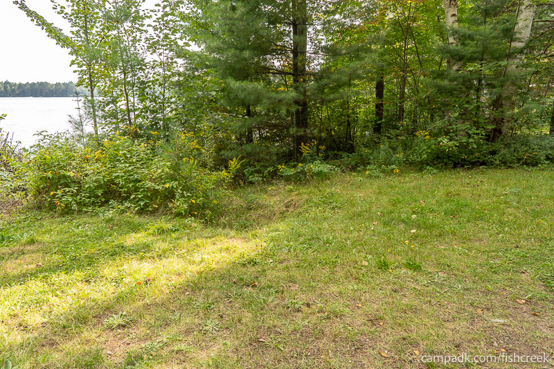 Campsite Photo of Site 46 at Fish Creek Pond Campground, New York - Cross Site View