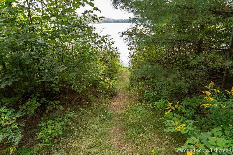 Campsite Photo of Site 46 at Fish Creek Pond Campground, New York - Pathway Down to Water