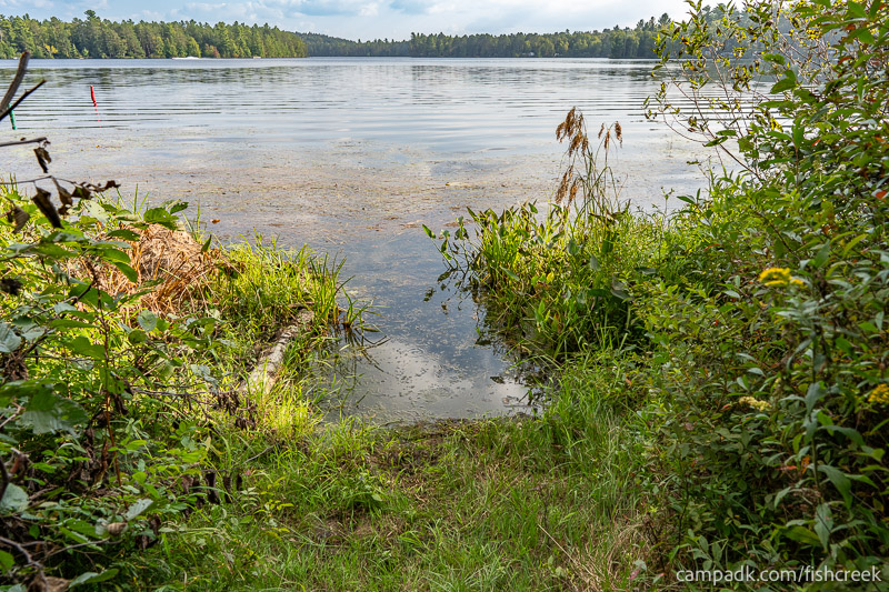 Campsite Photo of Site 46 at Fish Creek Pond Campground, New York - Shoreline