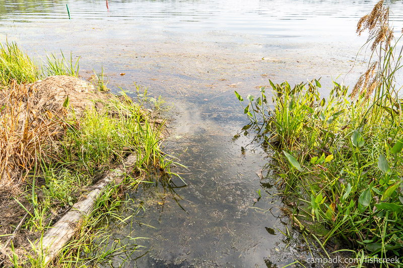 Campsite Photo of Site 46 at Fish Creek Pond Campground, New York - Shoreline