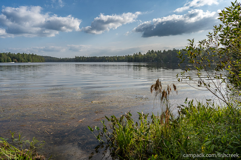 Campsite Photo of Site 46 at Fish Creek Pond Campground, New York - View from Shoreline
