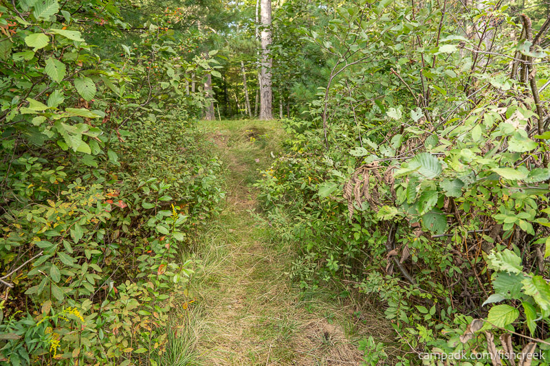 Campsite Photo of Site 46 at Fish Creek Pond Campground, New York - Returning Along Pathway from Water