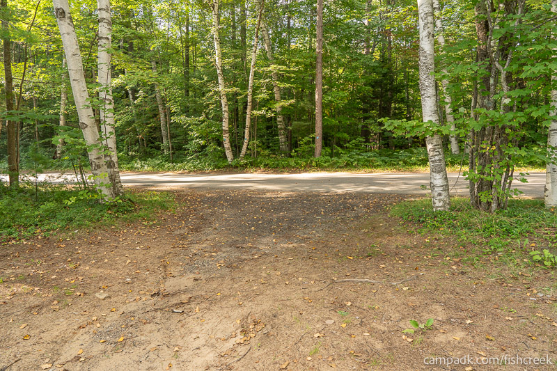 Campsite Photo of Site 46 at Fish Creek Pond Campground, New York - Looking Back Towards Road