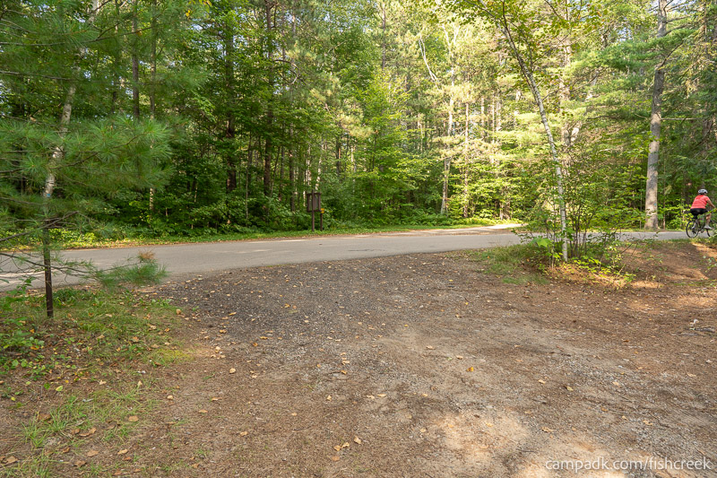 Campsite Photo of Site 46 at Fish Creek Pond Campground, New York - Looking Back Towards Road