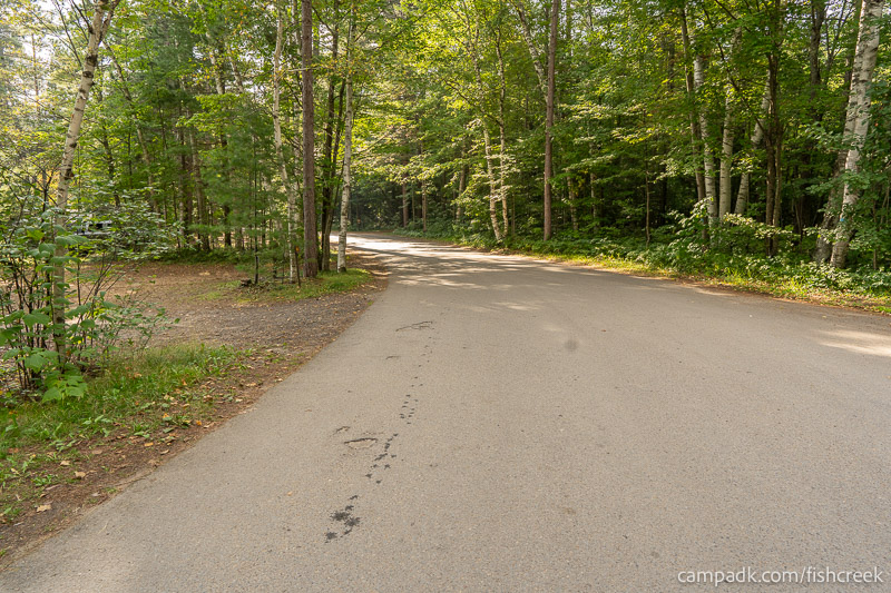 Campsite Photo of Site 46 at Fish Creek Pond Campground, New York - View Down Road from Campsite