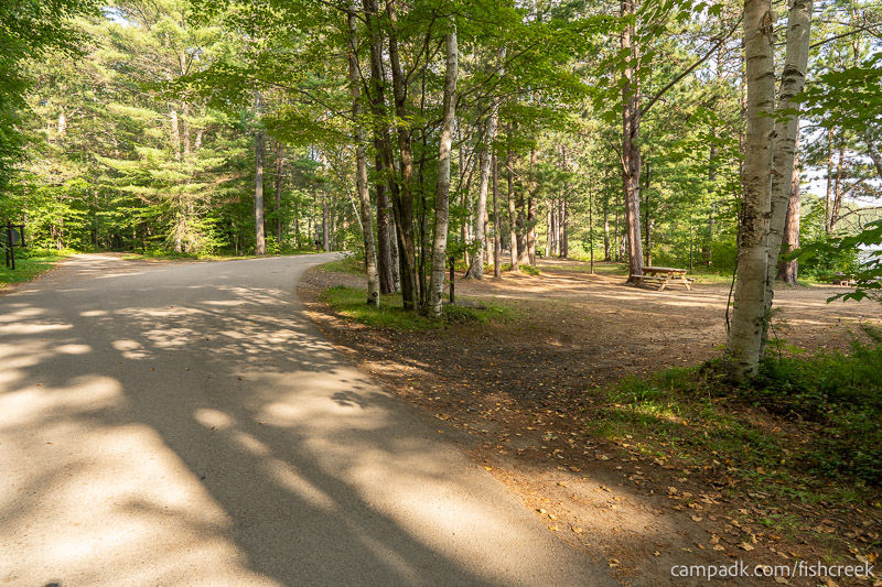 Campsite Photo of Site 46 at Fish Creek Pond Campground, New York - View Down Road from Campsite