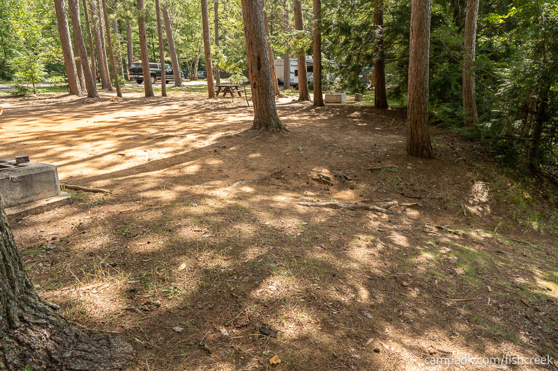 Campsite Photo of Site 1 at Fish Creek Pond Campground, New York - Cross Site View