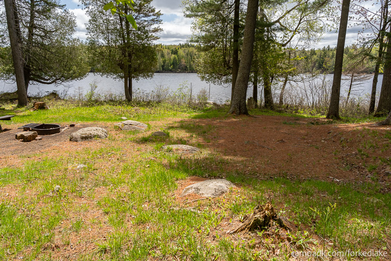Campsite Photo of Site 12 at Forked Lake Campground, New York - Main Campsite Area