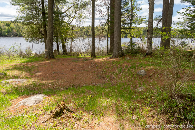 Campsite Photo of Site 12 at Forked Lake Campground, New York - Looking Towards Water From Back of Site