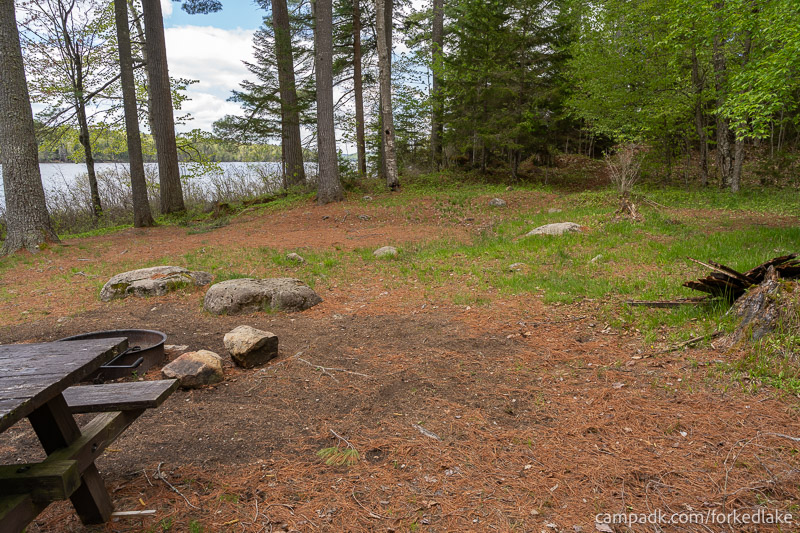Campsite Photo of Site 12 at Forked Lake Campground, New York - View Across Site