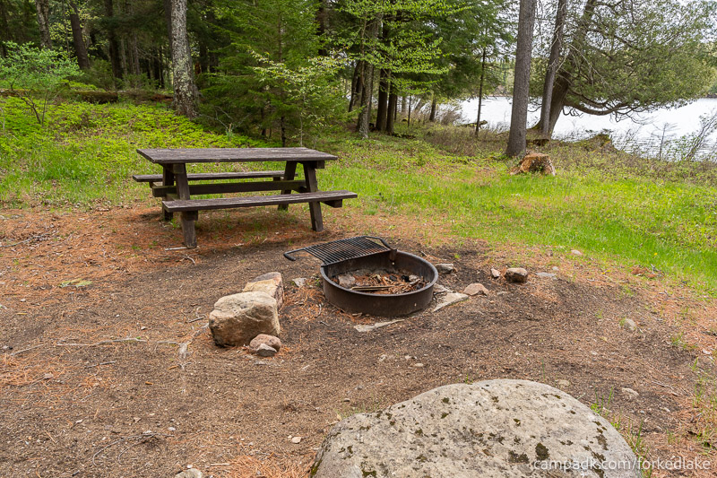 Campsite Photo of Site 12 at Forked Lake Campground, New York - View from Fireplace
