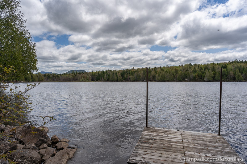 Campsite Photo of Site 12 at Forked Lake Campground, New York - View from Site Shoreline
