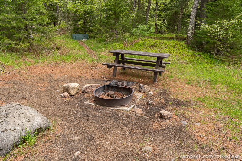 Campsite Photo of Site 12 at Forked Lake Campground, New York - Looking Back at Hike-In Pathway