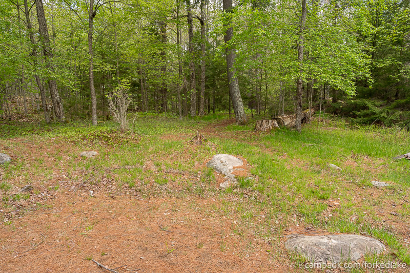 Campsite Photo of Site 12 at Forked Lake Campground, New York - Looking Back at Hike-In Pathway