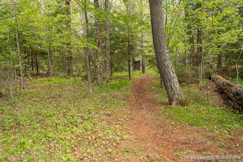 Campsite Photo of Site 12 at Forked Lake Campground, New York - Hike-In Pathway Back to Main Campground