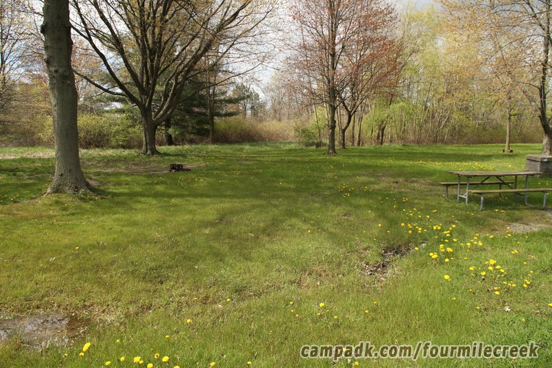 Campsite Photo of Site 325 at Four Mile Creek State Park, New York - Looking at Site from Road