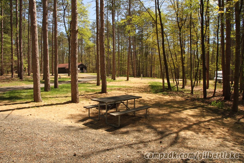 Campsite Photo of Site 81 at Gilbert Lake State Park, New York - Cross Site View