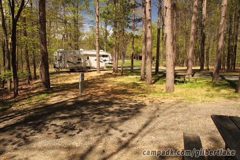Campsite Photo of Site 81 at Gilbert Lake State Park, New York - Cross Site View