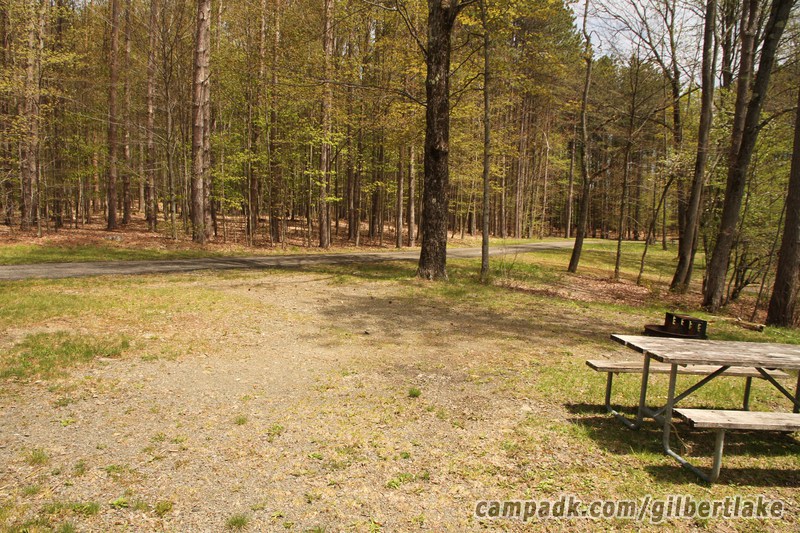 Campsite Photo of Site 119 at Gilbert Lake State Park, New York - Cross Site View