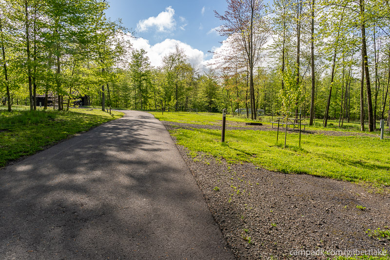 Campsite Photo of Site 81 at Gilbert Lake State Park, New York - View Down Road from Campsite