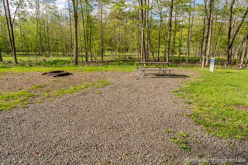 Campsite Photo of Site 81 at Gilbert Lake State Park, New York - Looking at Site from Road Sign Visible